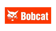 Bobcat